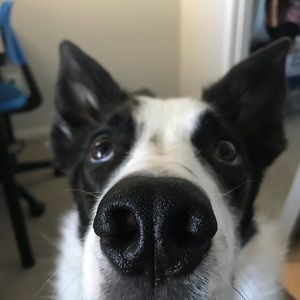 Meet your Posher, Natalie